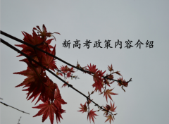 2023�¸߿����߳��t��(n��i)�ݽ�B���¸߿������Ƿ��(hu��)ȡ����(f��)�x��