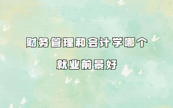 財務管理和會計的區別是什么,財務管理和會計學哪個就業前景好