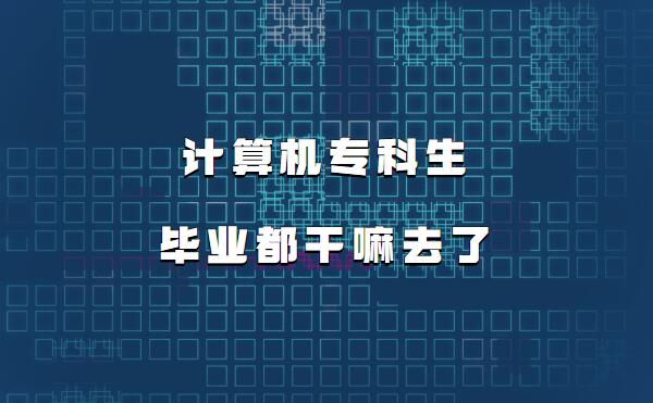 計算機專科生畢業都干嘛去了,計算機專科生就業前景如何
