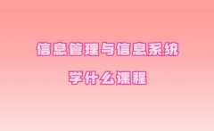 信息管理與信息系統學什么課程,信管專業最好的出路有哪些